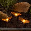 Bee solar ground lights, set of 3 product photo default T