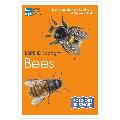 Bees identifier chart - RSPB ID Spotlight series product photo default T