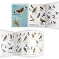 Birds of prey identifier chart - RSPB ID Spotlight series product photo side T