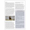 Birds of prey identifier chart - RSPB ID Spotlight series product photo front T