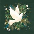 Botanical Dove Christmas cards, pack of 10 product photo default T