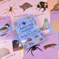 Amazing animals of the British Isles fact cards product photo side T
