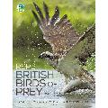 RSPB British Birds of Prey product photo default T