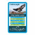 RSPB British birds Top Trumps card game product photo back T