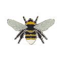 RSPB Short-haired bumblebee pin badge product photo default T