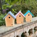 RSPB Cabin nest boxes, set of 3 product photo default T