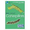 RSPB ID Spotlight - Caterpillars product photo default T