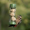 RSPB Classic easy-clean suet feeder product photo front T