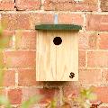 RSPB Classic nest box product photo ai5 T