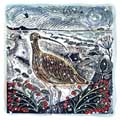 Coastal Curlew Christmas cards, pack of 10 product photo default T