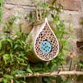 Dewdrop bee biome with wildflower seeds product photo side T