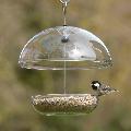 I Love Robins® large dome feeder product photo front T