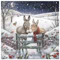 Donkey duet Christmas cards, pack of 10 product photo default T