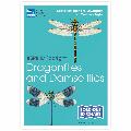 Dragonflies and damselflies identifier chart - RSPB ID Spotlight series product photo default T