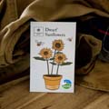 Topolino dwarf sunflower seed pack product photo side T