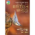 RSPB Everyday Guide to British Birds (2nd edition) product photo default T