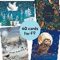 RSPB Fab 40 bumper pack charity Christmas cards product photo back T