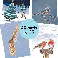 RSPB Fab 40 bumper pack charity Christmas cards product photo side T