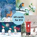 RSPB Fab 40 bumper pack charity Christmas cards product photo default T
