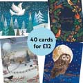 RSPB Fab 40 bumper pack charity Christmas cards product photo back T