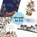 RSPB Fab 40 bumper pack charity Christmas cards product photo ai5 T