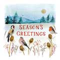 Festive field countryside Christmas cards, pack of 10 (2 designs) product photo side T