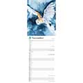 RSPB Flock & feather watercolour calendar 2026 product photo back T