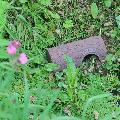 Frog log eco frog and toad shelter product photo ai5 T