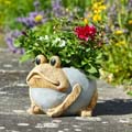 Frog planter product photo side T
