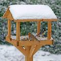 Gallery bird table product photo ai5 T