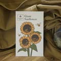 Giant sunflower seed pack product photo side T