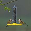 Goldfinch mini nyjer seed feeder product photo default T