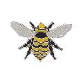 RSPB Great Yellow Bumblebee pin badge product photo default T