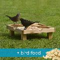 RSPB Ground feeding table & food offer product photo default T