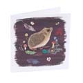 RSPB Hedgehog notecards, pack of 10 - Beyond the hedgerow collection product photo back T