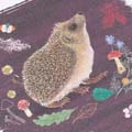 RSPB Hedgehog notecards, pack of 10 - Beyond the hedgerow collection product photo front T