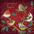 Holly garden birds Welsh Christmas cards, pack of 10 product photo default T