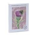 RSPB In the wild mini bee notecards pack product photo default T