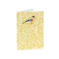 RSPB In the wild bullfinch mini notecards pack product photo back T