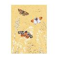 RSPB In the wild butterflies greetings card product photo default T