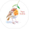 Inquisitive robins Christmas cards, pack of 10 (2 designs) product photo side T