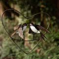 Love heart Swallow recycled metal sculpture product photo default T