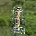 RSPB Ultimate easy-clean® seed bird feeder, medium, with guardian & seed tray product photo default T