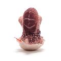 Mini snail plush toy product photo ai4 T