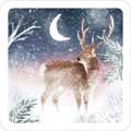 Moonlight friends fox and stag Christmas cards, pack of 10 (2 designs) product photo side T