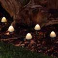 Mushroom solar lights, pack of 12 product photo default T