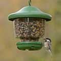 My Favourites hanging bird feeder and feeder mix 1.5kg product photo back T