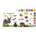 My first nature let's go exploring! board book product photo back T
