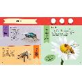RSPB Nature Spotter: Wildlife product photo back T
