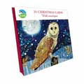 Owl Christmas cards, pack of 10 product photo side T